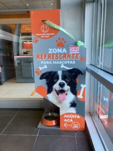 Clientes de centros comerciales pueden ir de compras en compañía de sus mascotas