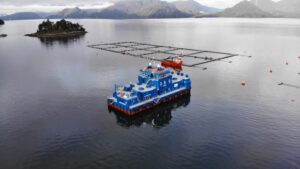Tercer Tribunal Ambiental frena proyecto que produciría 5 mil toneladas de salmones en Magallanes