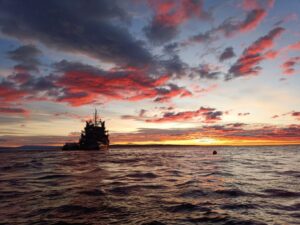 Armada realiza tareas de señalización marítima en aguas australes
