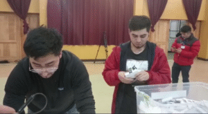 Comenzó el conteo de votos en Magallanes