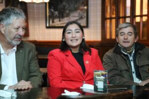 La dura derrota de cinco candidatos que creyeron que nos podían representar