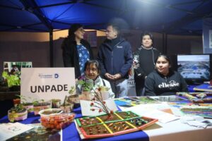 Once organizaciones dieron vida a segunda Feria Inclusiva de Punta Arenas