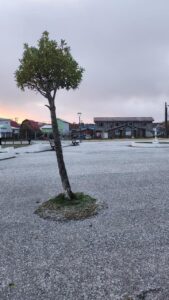 La nieve cubrió ayer varios sectores de Magallanes
