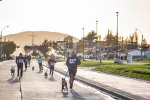 Masiva asistencia tuvo “Mascotatón” en Natales