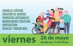 Feria “Punta Arenas más cerca de la Inclusión”