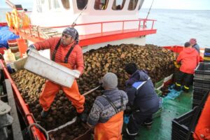 Bajos precios y altos costos complican a la pesca artesanal