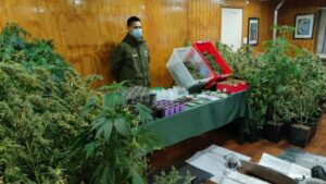 Detienen a dos personas que elaboraban y traficaban drogas en Punta Arenas