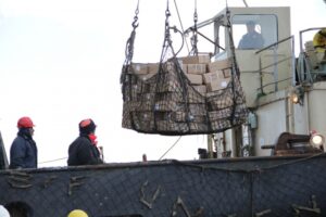 Exportaciones regionales llegaron a 144 millones de dólares en marzo