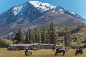 Las Torres suma nueva nominación internacional: llaman a votar