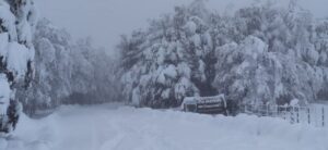 Reserva Magallanes cerrada por nieve