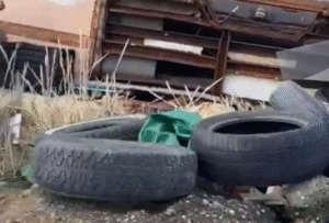 Vecinos de Agua Fresca realizan denuncias de graves problemáticas en la zona