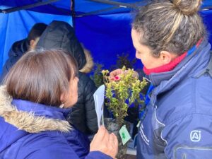 Arbustos y semillas fueron entregados en Día del Árbol