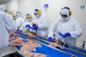 En un año, empleo regional sumó cuatro mil 710 personas ocupadas