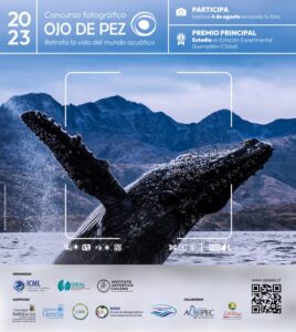 Abren nueva convocatoria para fotógrafos magallánicos