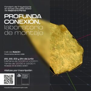 Laboratorio de arte interactivo se presentará en Punta Arenas