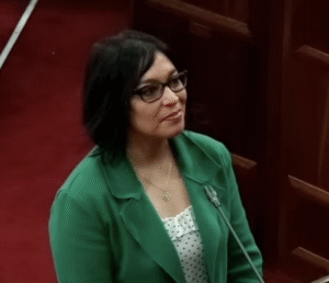“Debe por sobre todo primar el diálogo democrático y la posibilidad de acuerdos amplios”