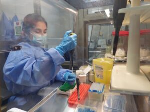 Innovadora técnica validada por ISP permitirá conocer qué variante de influenza circula en Magallanes