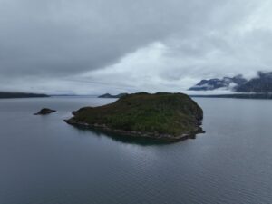 Destacan avances en conservación de Seno Almirantazgo