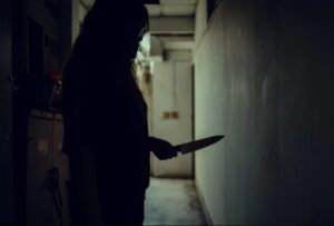 Mujer que apuñaló a su pareja en la espalda fue condenada por lesiones menos graves