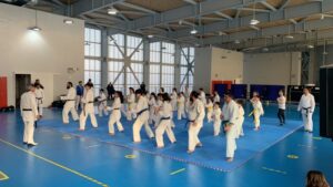 La Academia de Karate Do Ken Shin Kan Magallanes realizó seminarios de artes marciales en Punta Arenas