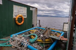 Cuatro denuncias contra empresas salmoneras realizó Greenpeace en junio