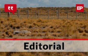 La diferente ruralidad que tenemos en la zona más austral del Mundo