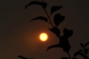 Ola de calor provoca alertas rojas en 16 ciudades de Italia y avisos en Estados Unidos