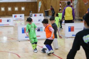 Masiva concurrencia a Feria Deportiva de Invierno
