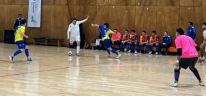 Punta Arenas derrotó a Barnechea y sacó pasajes para la Serie A