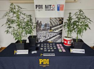 Detienen a sujeto por venta de drogas cercano a un colegio en Natales