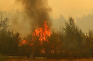 Incendios en Grecia: encuentran 18 muertos en un bosque arrasado por las llamas