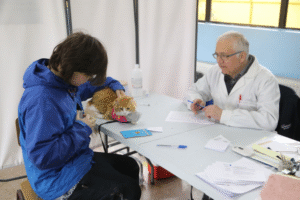 Segundo operativo exclusivo para gatos en Punta Arenas