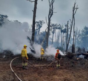 Conaf inició inscripción de brigadistas forestales
