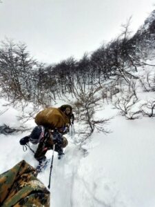 Quinta División participó en ejercicio  Jauken 2023 realizado en Tierra del Fuego