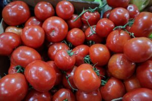 Indap lanza nuevo programa para la transición a la agricultura sostenible