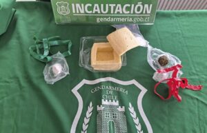Gendarmería sorprende a sujeto que pretendía ingresar 26 gramos de drogas ilícitas a la cárcel de Punta Arenas