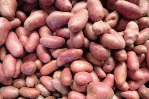 Productores de papas explican alzas y niegan toda concertación de precios