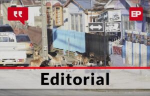 La problemática de la tenencia irresponsable por animales sueltos en las calles
