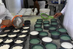 Chile reconoce denominación de origen de tipo de queso azul como 100% italiano