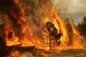 Fiscalía confirma responsabilidad de compañías eléctricas en incendios forestales