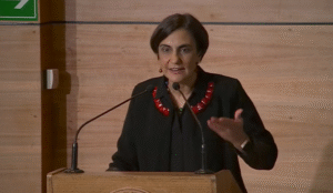 Con diversas ponencias y charlas inició Congreso Patagónico de Descentralización