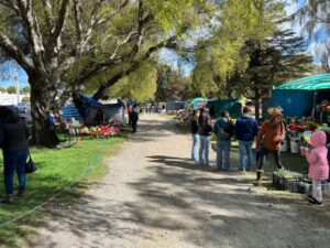 Vendedores ambulantes ya instalados frente al cementerio municipal