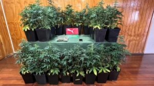 Carabineros detiene a mujer y le incautan más de $57 millones en drogas