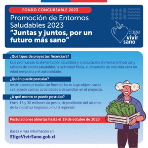 Fondo concursable de Elige Vivir Sano abre sus postulaciones
