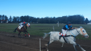 Club Hípico de Punta Arenas vuelve a ser protagonista de carreras 