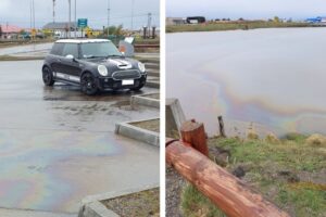 Denuncia ciudadana dio cuenta de posible daño ecológico en Humedal Tres Puentes