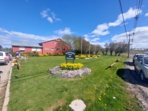Sepa los horarios y actividades de los cementerios de Punta Arenas