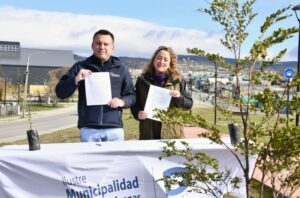 Con más de 600 árboles municipalidad de Punta Arenas reforestará diversas calles de la ciudad