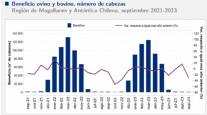 Actividad pecuaria sufre importante caída en septiembre: beneficio cayó 30%