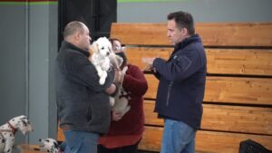 Operativos de mascotas: más de 2 mil atenciones ha realizado el municipio de Punta Arenas